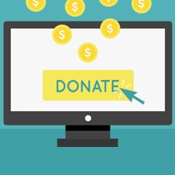 New! How to Launch and Implement Your Online Fundraising Campaign - A Step-By-Step Guide 